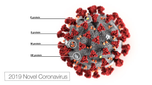 EP1694829B1 Patenti ve Koronavirüs Aşısı Daha Önceden Bulundu İddiası – ŞOK GERÇEKLER (VİDEOLU)