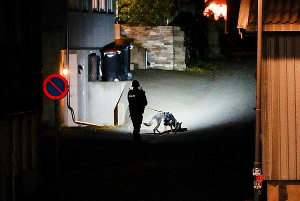 Man kills multiple people in bow and arrow attack in Norway